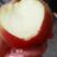 美八，红露冰糖心苹果产地批发一手货源，货源充足品质优良。