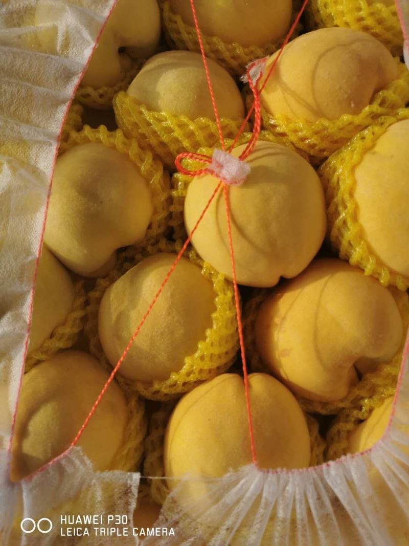 万亩桃园基地欢迎您，大量黄桃出售
