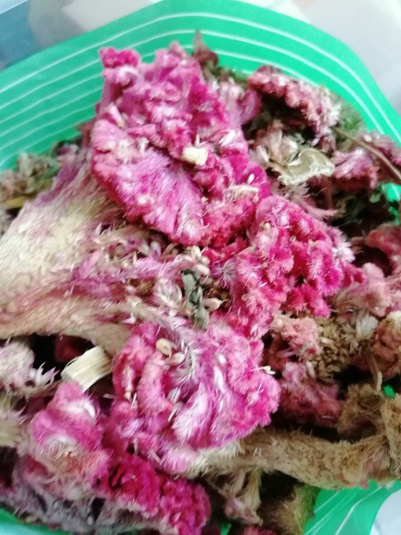 鸡冠花药用干花各种中药材批发零售各种规格中药材