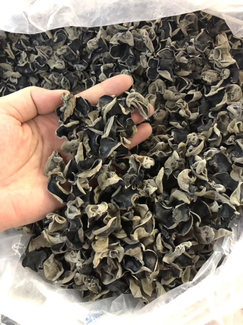 东北木耳，黑木耳干货东北特产肉厚产地直销批发，欢迎订购！