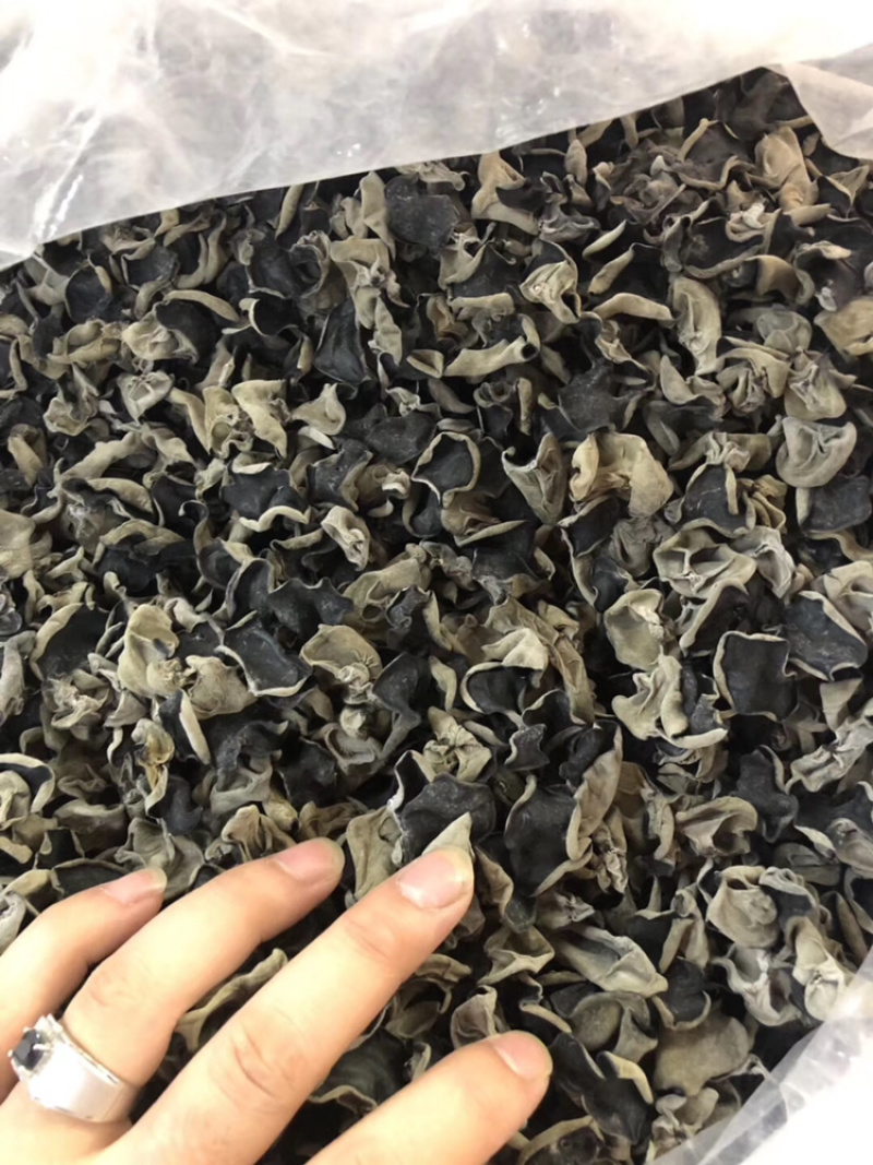 东北木耳，黑木耳干货东北特产肉厚产地直销批发，欢迎订购！