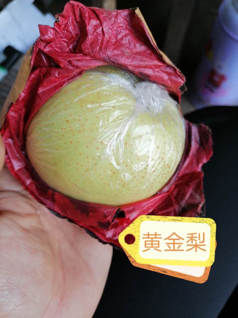 纸加膜黄金梨大量上市了，口感脆甜，肉质细腻，欢迎各位老板