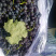 正宗玫瑰香葡萄🍇开始上市了价格合理欢迎选购