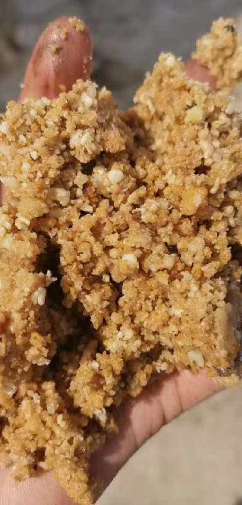 【优质好货】肯德基油渣育肥油渣牛羊育肥神器，量大优惠！