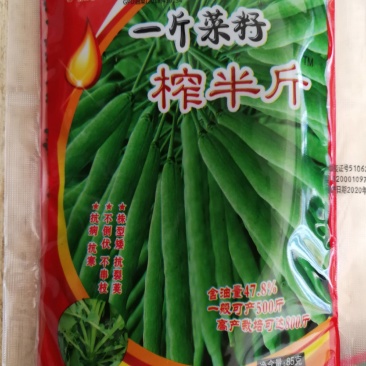超级油菜杂交新品种株型矮抗裂荚不倒伏不串枝抗病抗寒含油高