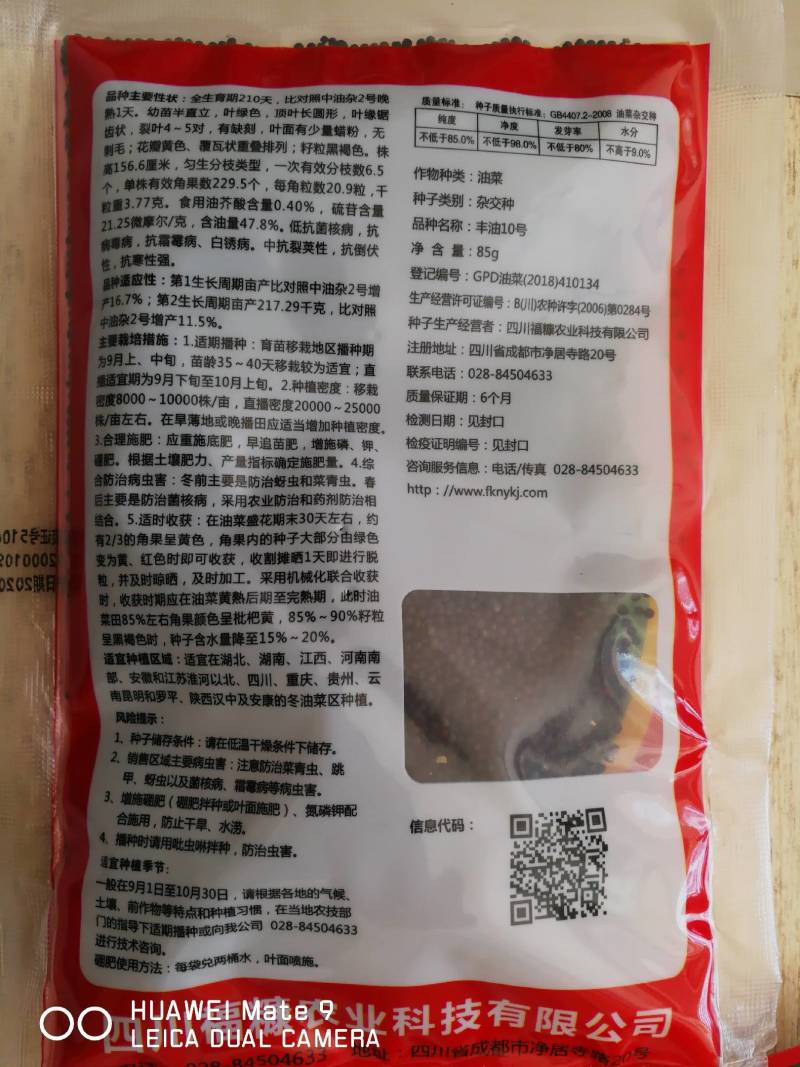 超级油菜杂交新品种株型矮抗裂荚不倒伏不串枝抗病抗寒含油高