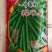 超级油菜杂交新品种株型矮抗裂荚不倒伏不串枝抗病抗寒含油高