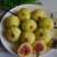 威海青皮无花果日供货量一万至两万斤，量大价优