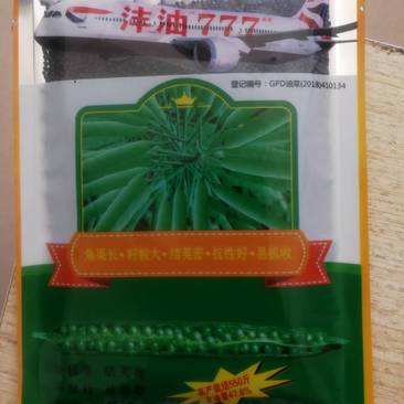 沣油777油菜籽角长籽粒大结荚密分枝多抗性好易机收。