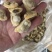 花蛤肉L大规格原汁原味干净无沙