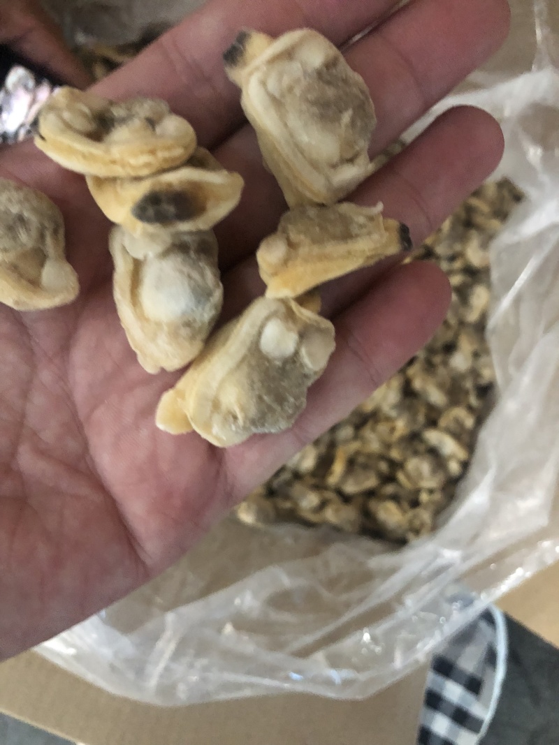 花蛤肉L大规格原汁原味干净无沙