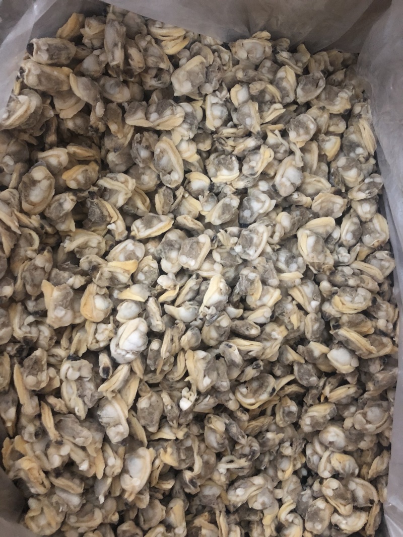 花蛤肉L大规格原汁原味干净无沙
