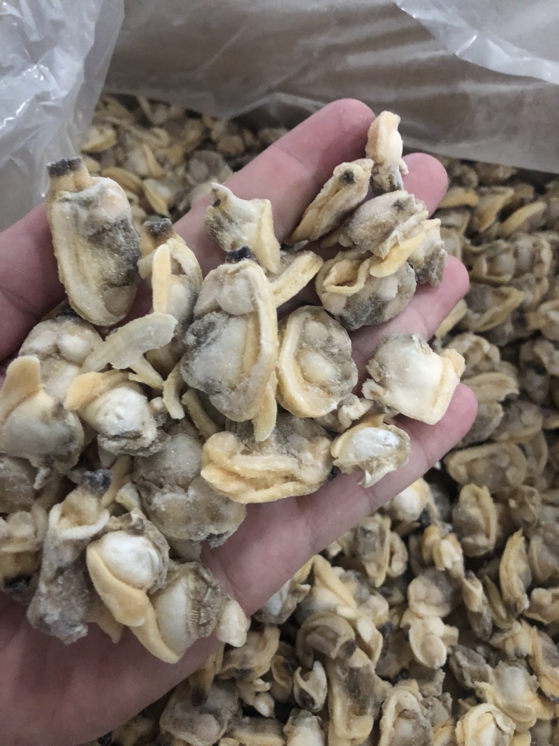 花蛤肉L大规格原汁原味干净无沙