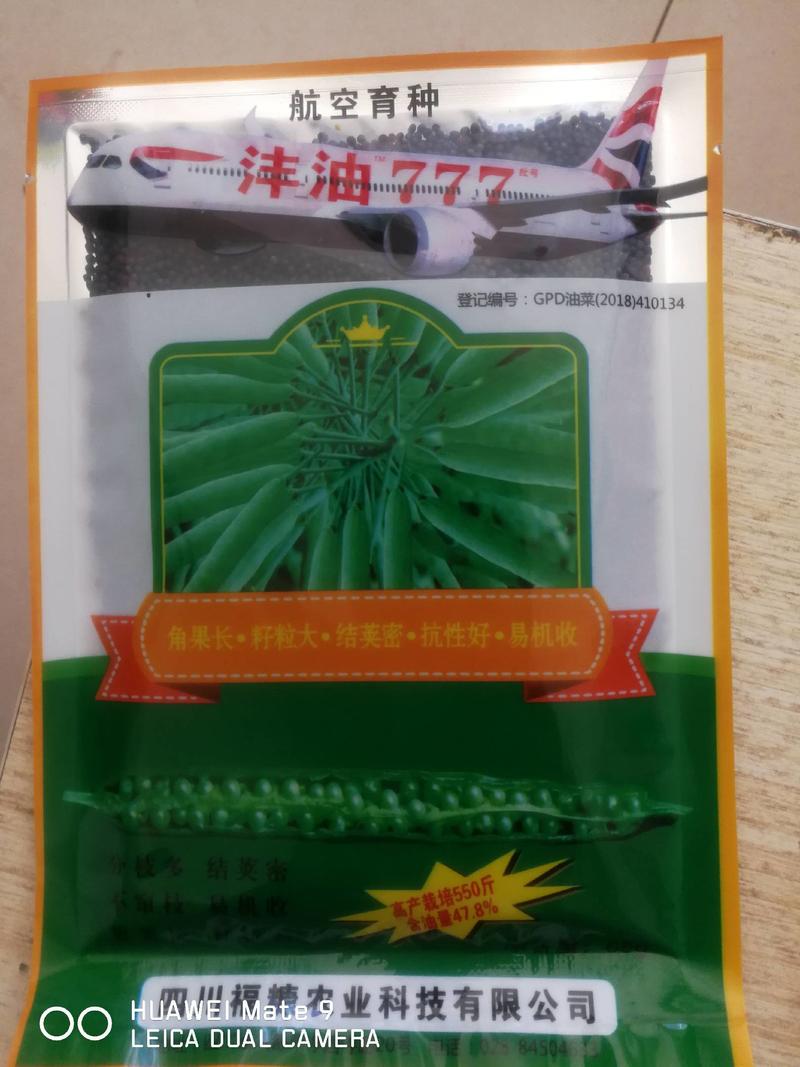 沣油777油菜籽角长籽粒大结荚密分枝多抗性好易机收。