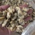 花蛤肉L大规格原汁原味干净无沙