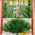 油菜籽植株矮熟期好籽粒大产量高含油量47.8%。