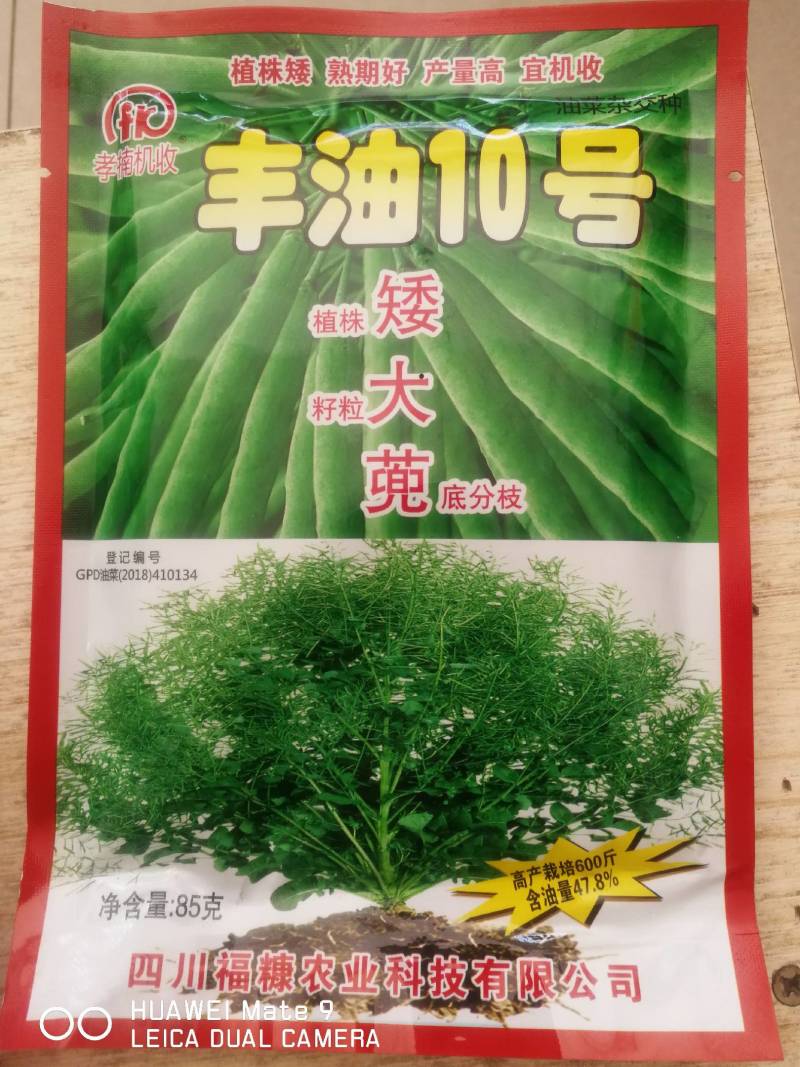 油菜籽植株矮熟期好籽粒大产量高含油量47.8%。