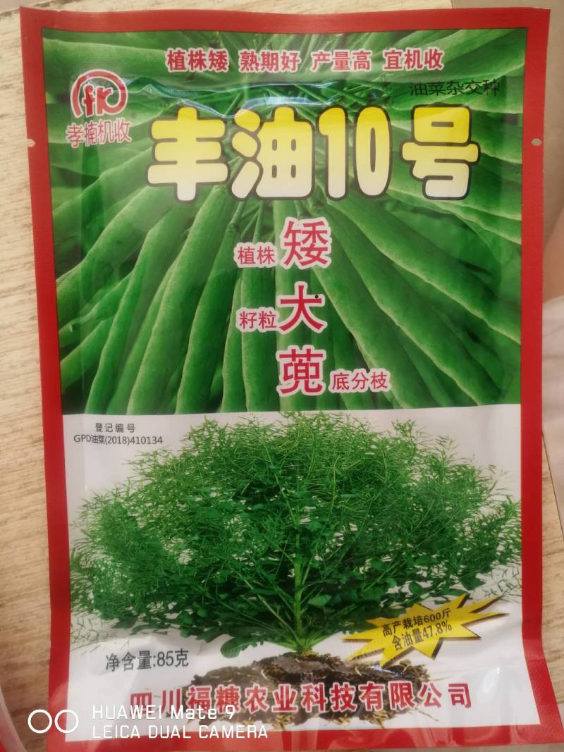 油菜籽植株矮熟期好籽粒大产量高含油量47.8%。