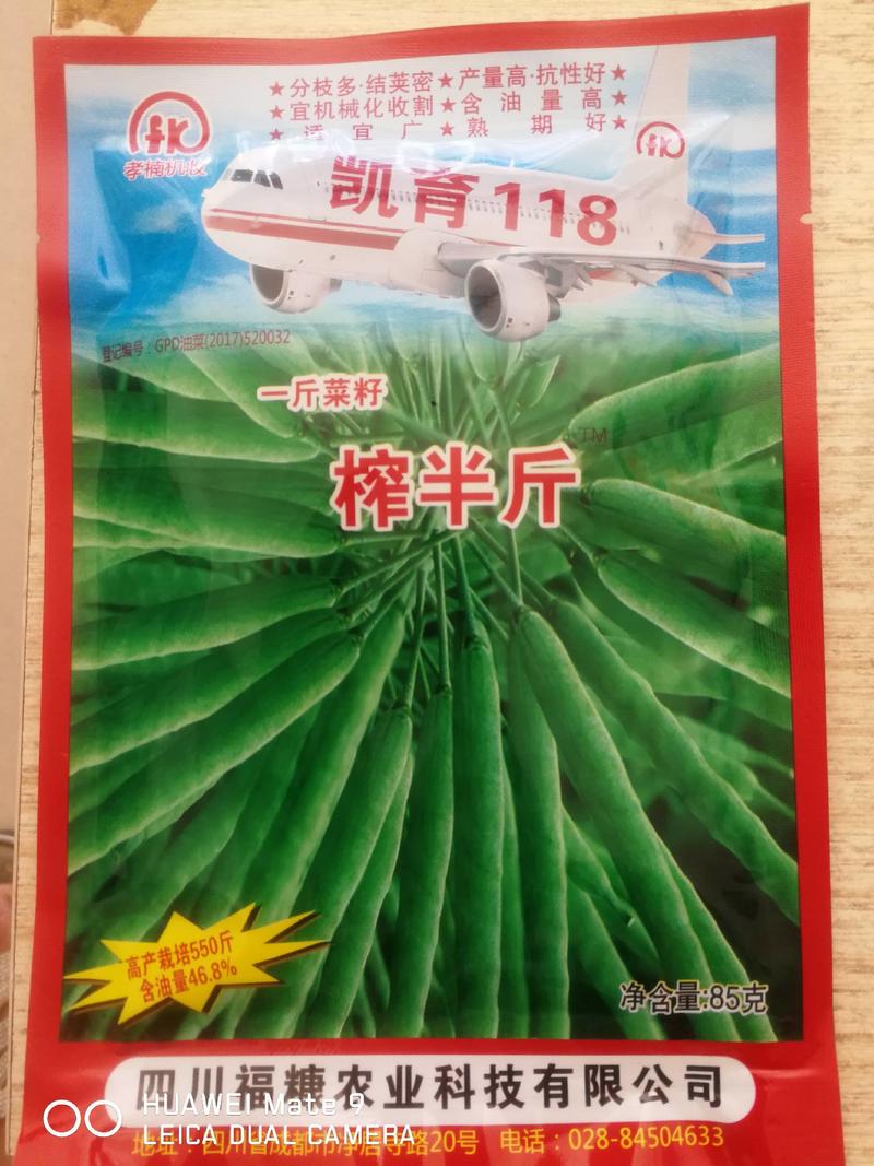 一斤菜籽榨半斤油，分枝多结荚密产量高抗性好宜机械化收割。