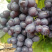 葡萄🍇🍇🍇🍇🍇玫瑰香香甜可口口感不错葡萄🍇