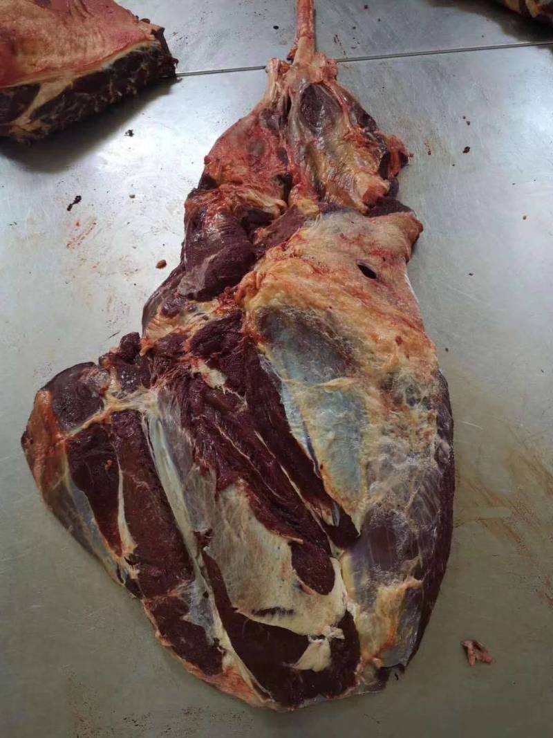 蒙古国正关马肉，超码四分体冷冻马肉，精修，去油