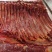 蒙古国正关马肉，超码四分体冷冻马肉，精修，去油