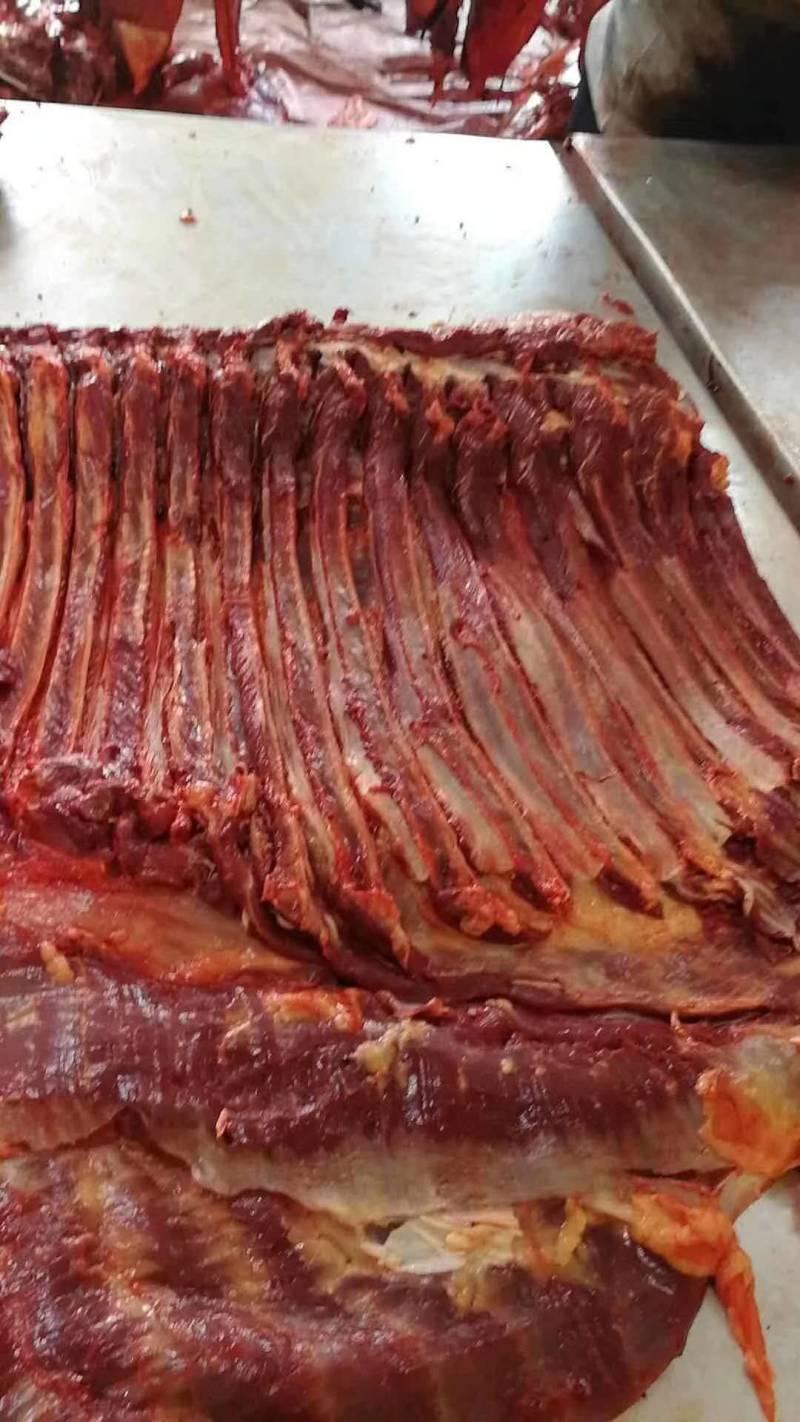 蒙古国正关马肉，超码四分体冷冻马肉，精修，去油