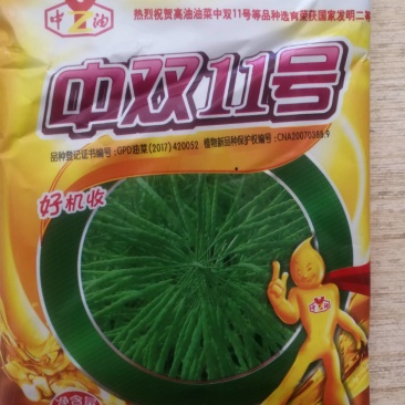 中双11号油菜籽，高油菜品种，抗倒抗病抗寒49%油量。