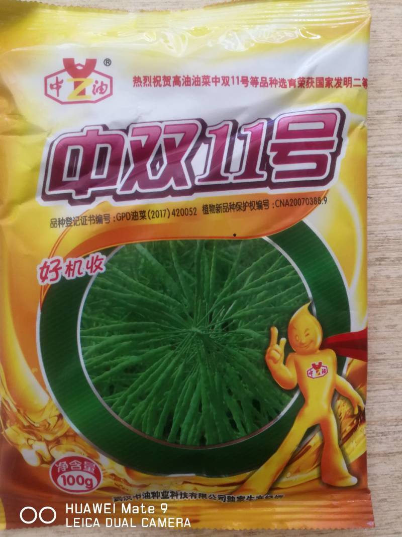 中双11号油菜籽，高油菜品种，抗倒抗病抗寒49%油量。