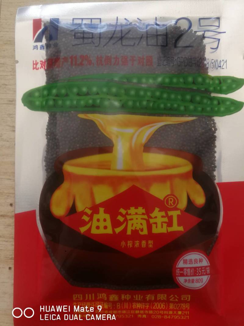 蜀龙油2号油菜种，产量高抗病强抗寒抗倒