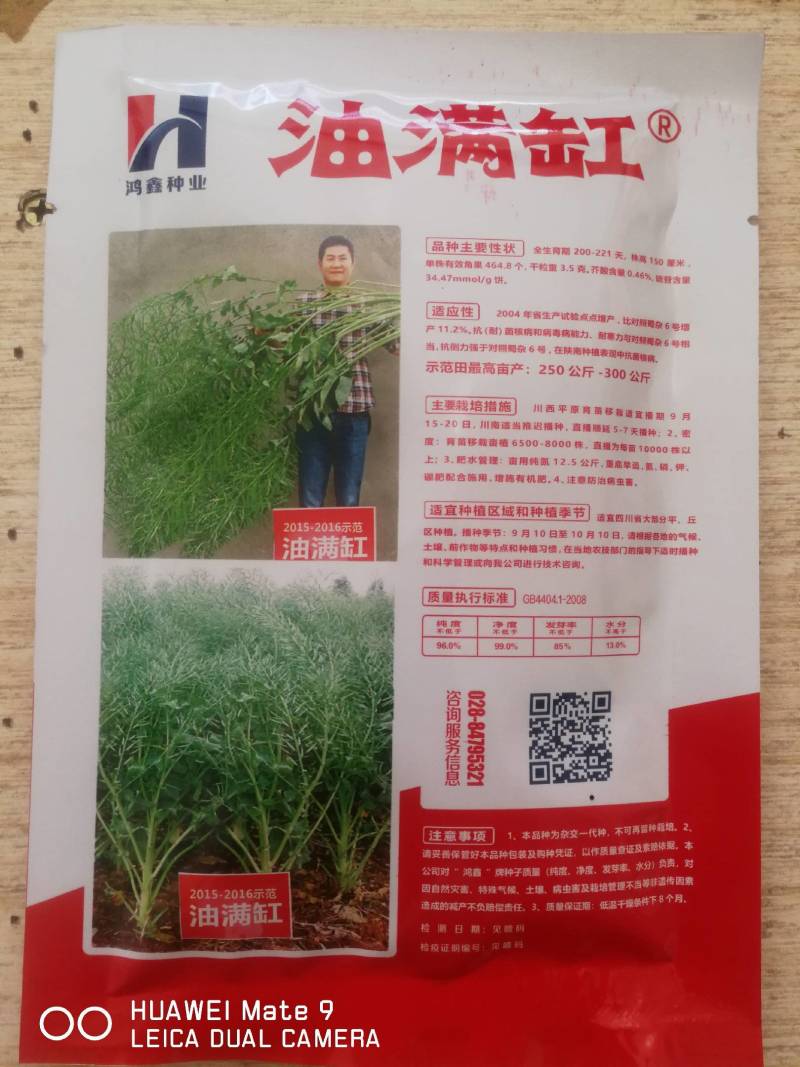 蜀龙油2号油菜种，产量高抗病强抗寒抗倒