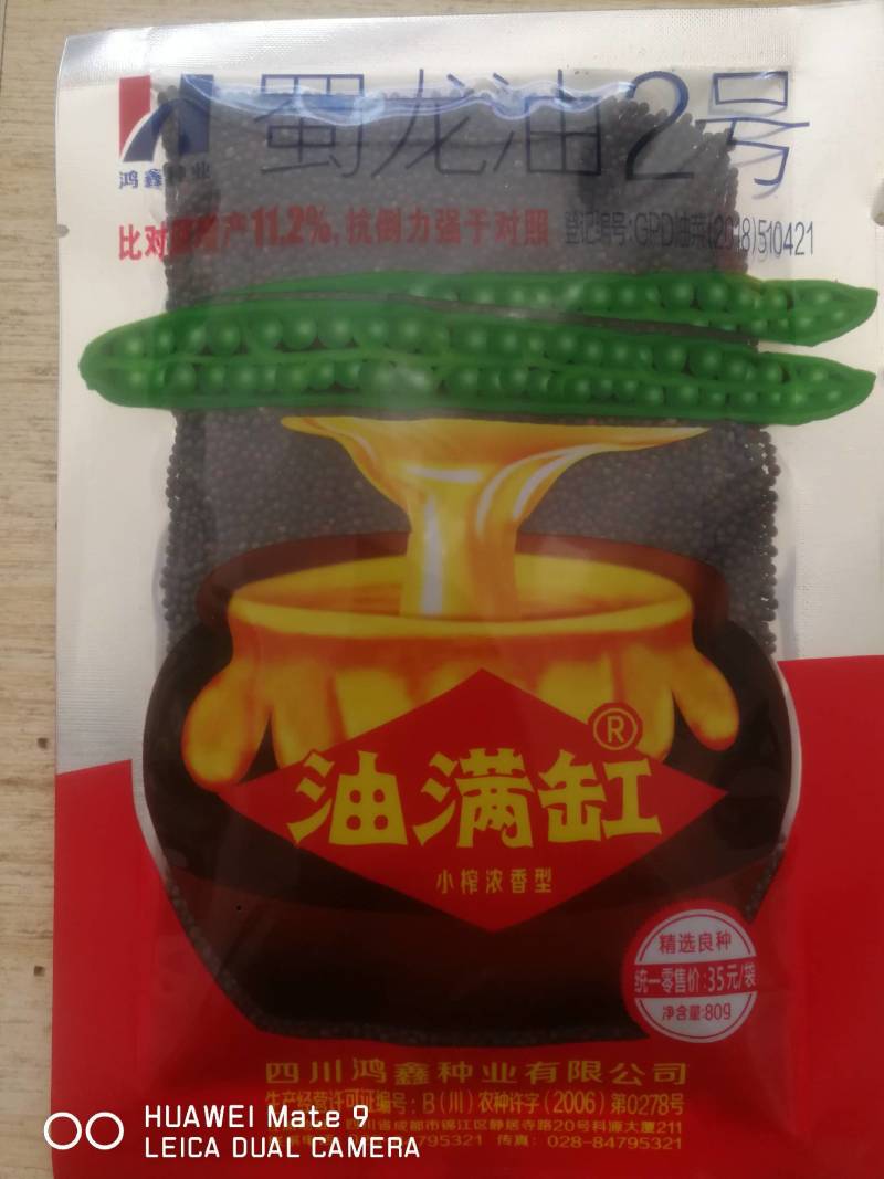 蜀龙油2号油菜种，产量高抗病强抗寒抗倒