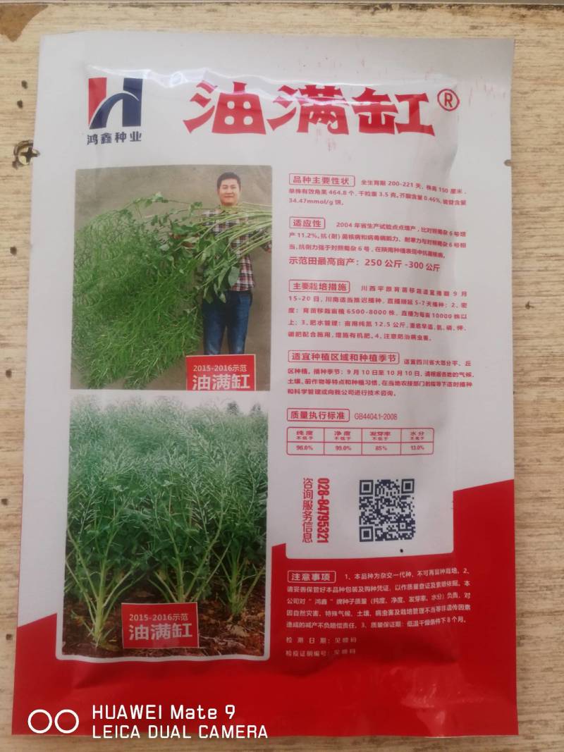 蜀龙油2号油菜种，产量高抗病强抗寒抗倒