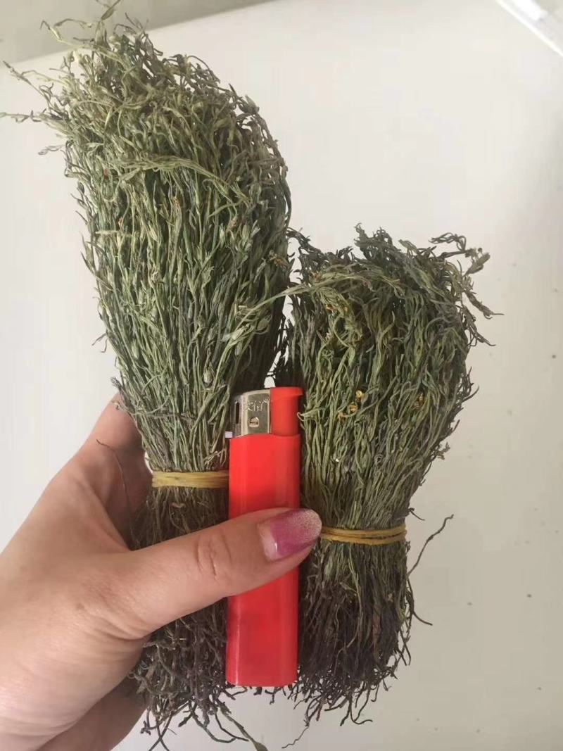 独脚金消食化积中药材
