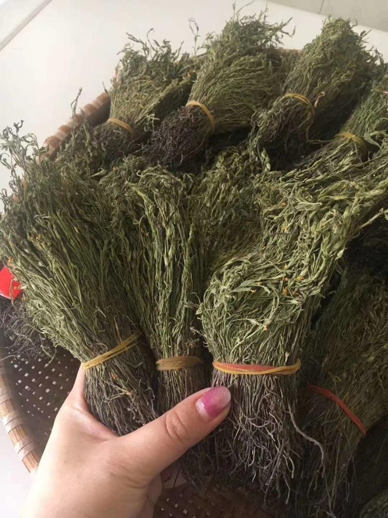 独脚金消食化积中药材