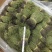 独脚金消食化积中药材