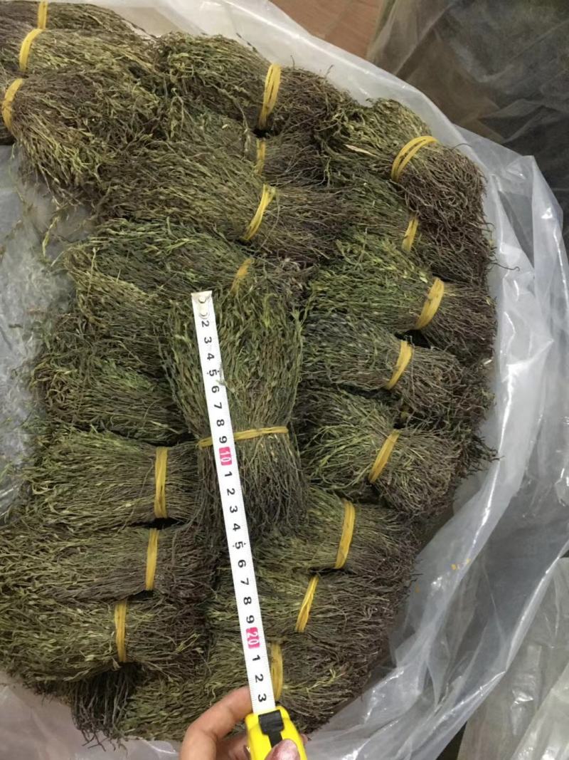 独脚金消食化积中药材