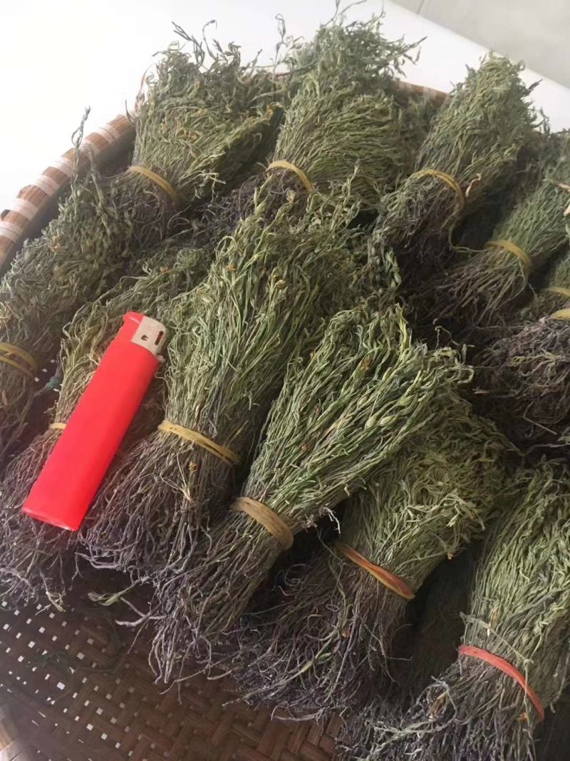 独脚金消食化积中药材