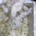 小龙胶鱼胶酒店酒席佳品量大私聊