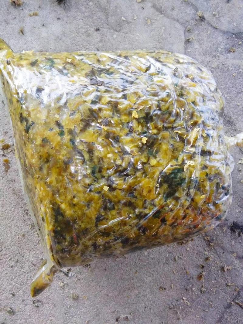 雪里红大量出售，需要的联系我