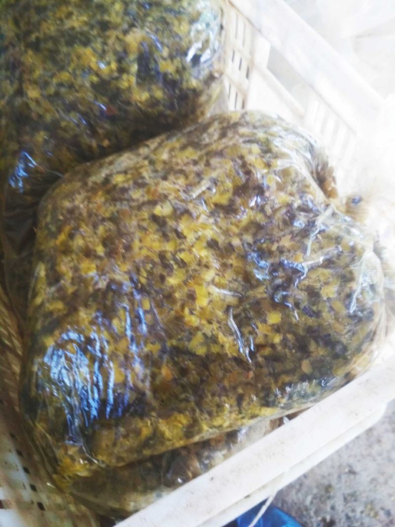 雪里红大量出售，需要的联系我
