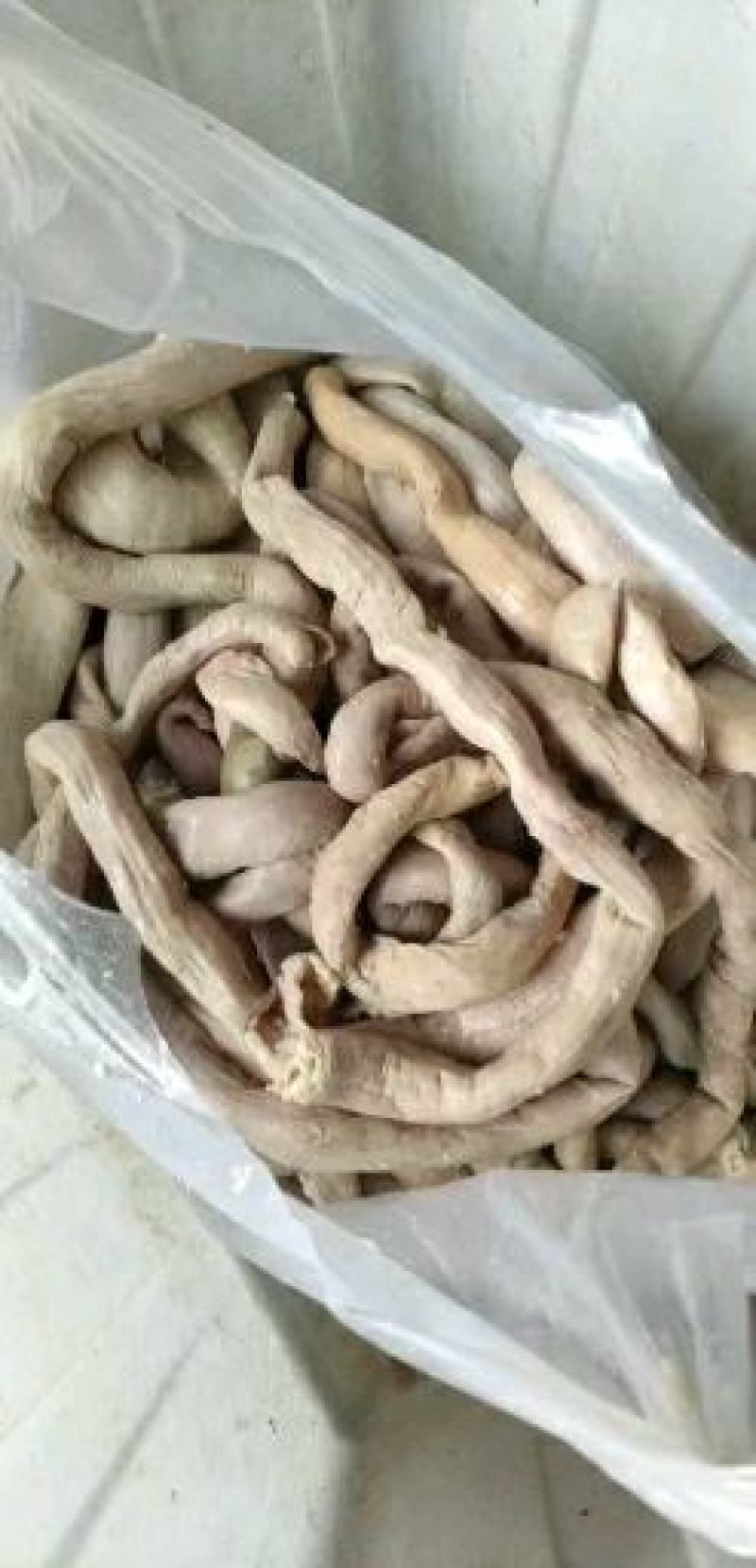河北鲜牛肠，每天鲜货，质量可靠，信誉为先，欢迎新朋友选购