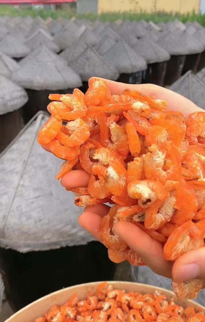 精品虾仁海米对虾仁对虾米金钩米石岛米淡干不咸产地直销渤海