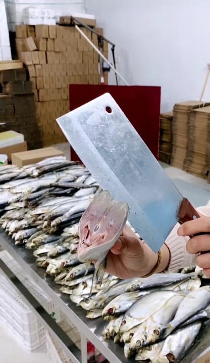 白磷鱼，咸鱼，精品，鱼干，全规格大量有货欢迎朋友前来咨询