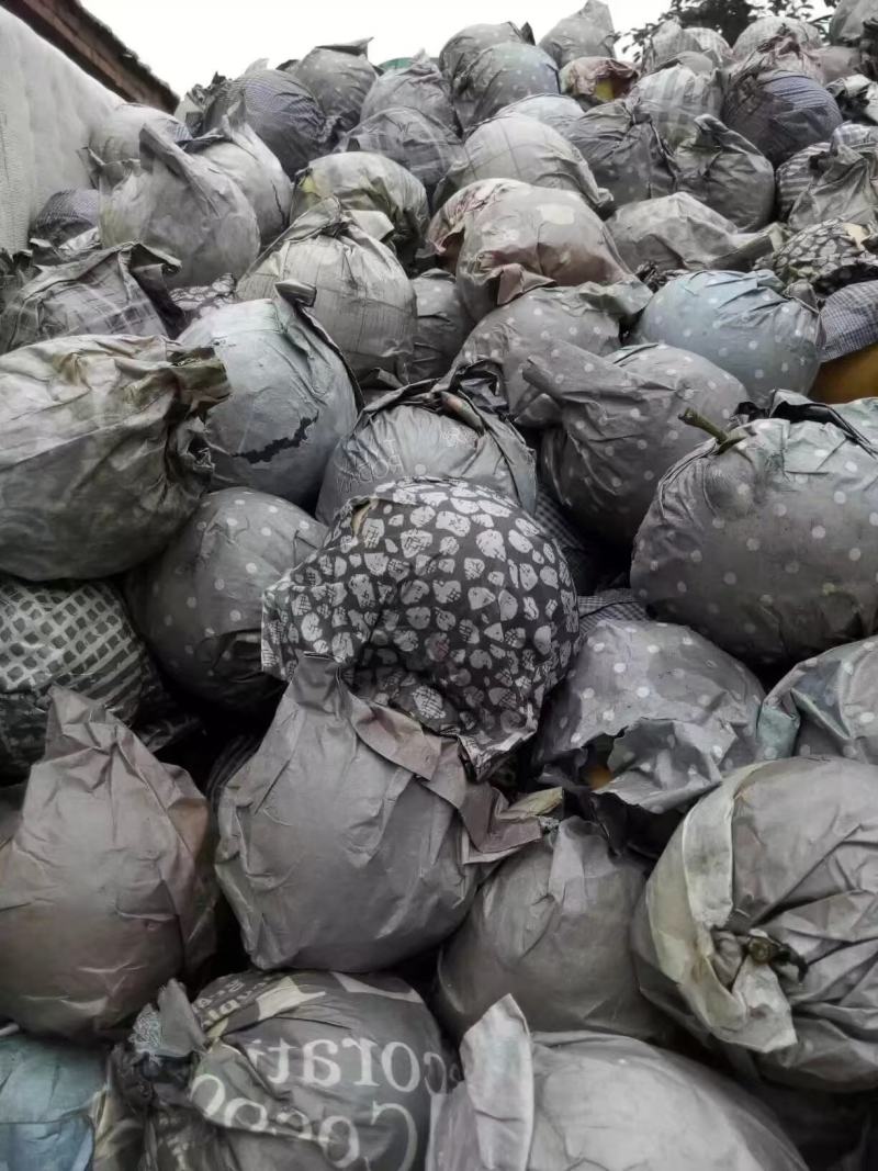 圆黄梨中期出售一条龙服务！！套袋果上市了，7月下旬