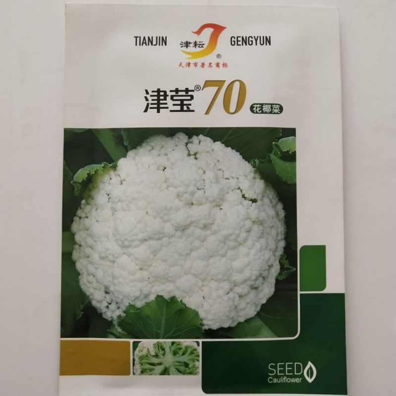 有机花菜种子青梗花菜种子耐寒抗病性强品种