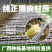 纯正广西黑皮甘蔗供应产地，结巴均匀，口感甜脆，提供回程车