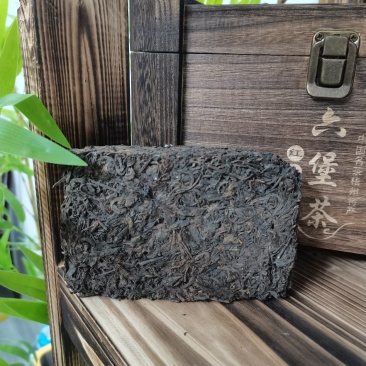 广西梧州六堡茶2008年虫屎茶砖（250克）