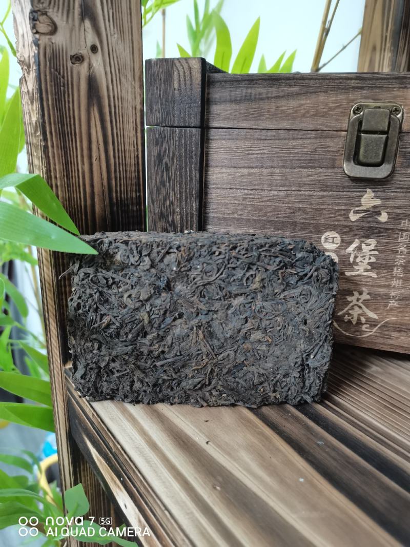 广西梧州六堡茶2008年虫屎茶砖（250克）
