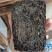 广西梧州六堡茶2008年虫屎茶砖（250克）